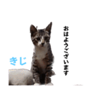 赤ちゃんとお母ちゃんおはようスタンプ（個別スタンプ：3）