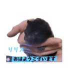 赤ちゃんとお母ちゃんおはようスタンプ（個別スタンプ：40）