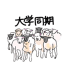 研修医になったら使うぞ〜！っていう言葉（個別スタンプ：27）