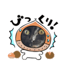 くーりすますが（個別スタンプ：6）
