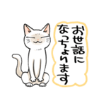 山口弁をしゃべる猫（個別スタンプ：1）