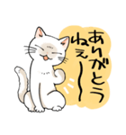 山口弁をしゃべる猫（個別スタンプ：2）