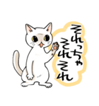 山口弁をしゃべる猫（個別スタンプ：4）