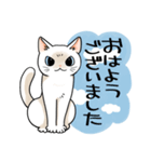 山口弁をしゃべる猫（個別スタンプ：5）