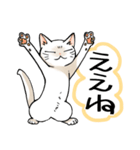 山口弁をしゃべる猫（個別スタンプ：6）