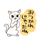 山口弁をしゃべる猫（個別スタンプ：9）