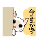 山口弁をしゃべる猫（個別スタンプ：14）