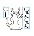 山口弁をしゃべる猫（個別スタンプ：16）