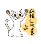 山口弁をしゃべる猫（個別スタンプ：17）