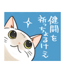 山口弁をしゃべる猫（個別スタンプ：18）