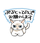 山口弁をしゃべる猫（個別スタンプ：19）