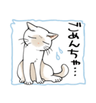 山口弁をしゃべる猫（個別スタンプ：21）