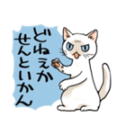 山口弁をしゃべる猫（個別スタンプ：22）