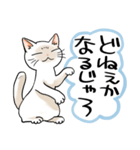 山口弁をしゃべる猫（個別スタンプ：23）