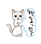 山口弁をしゃべる猫（個別スタンプ：25）