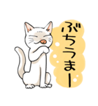 山口弁をしゃべる猫（個別スタンプ：27）