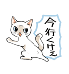 山口弁をしゃべる猫（個別スタンプ：34）