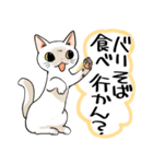 山口弁をしゃべる猫（個別スタンプ：40）