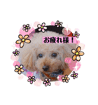 我が子たち♪（個別スタンプ：7）