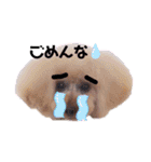我が子たち♪（個別スタンプ：9）