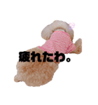 我が子たち♪（個別スタンプ：10）