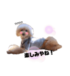 我が子たち♪（個別スタンプ：11）