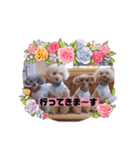 我が子たち♪（個別スタンプ：12）