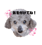 我が子たち♪（個別スタンプ：13）