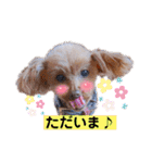 我が子たち♪（個別スタンプ：15）