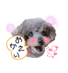 我が子たち♪（個別スタンプ：16）