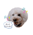 我が子たち♪（個別スタンプ：17）