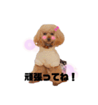 我が子たち♪（個別スタンプ：19）