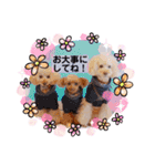 我が子たち♪（個別スタンプ：22）