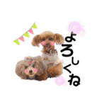 我が子たち♪（個別スタンプ：23）