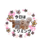 我が子たち♪（個別スタンプ：25）