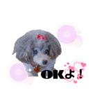 我が子たち♪（個別スタンプ：31）