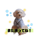 我が子たち♪（個別スタンプ：38）