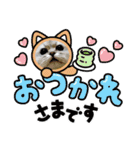 チンチラシルバー☆ジェシーちゃん(3)（個別スタンプ：1）