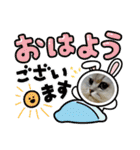 チンチラシルバー☆ジェシーちゃん(3)（個別スタンプ：2）