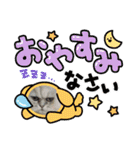 チンチラシルバー☆ジェシーちゃん(3)（個別スタンプ：3）