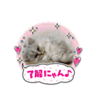 チンチラシルバー☆ジェシーちゃん(3)（個別スタンプ：6）