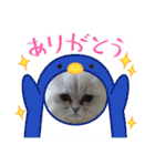 チンチラシルバー☆ジェシーちゃん(3)（個別スタンプ：9）
