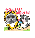 チンチラシルバー☆ジェシーちゃん(3)（個別スタンプ：39）