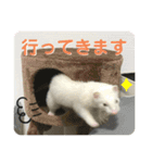 フェレットのたるたる②（個別スタンプ：7）