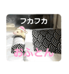 フェレットのたるたる②（個別スタンプ：12）