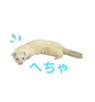 フェレットのたるたる②（個別スタンプ：14）