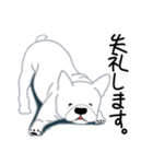 個性豊かな、わんこたち♪（個別スタンプ：3）