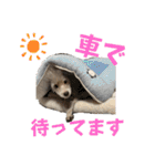 リンとユウのスタンプ5（個別スタンプ：1）