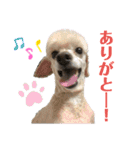 リンとユウのスタンプ5（個別スタンプ：3）