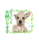 リンとユウのスタンプ5（個別スタンプ：5）